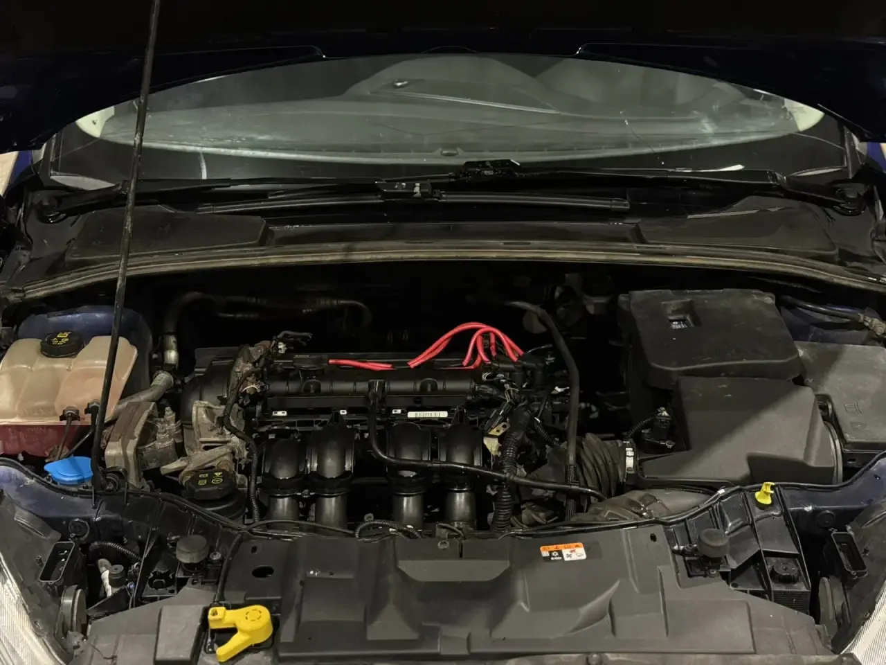 F39146C2 4FEF 4127 B1B1 3ABCF81AB138