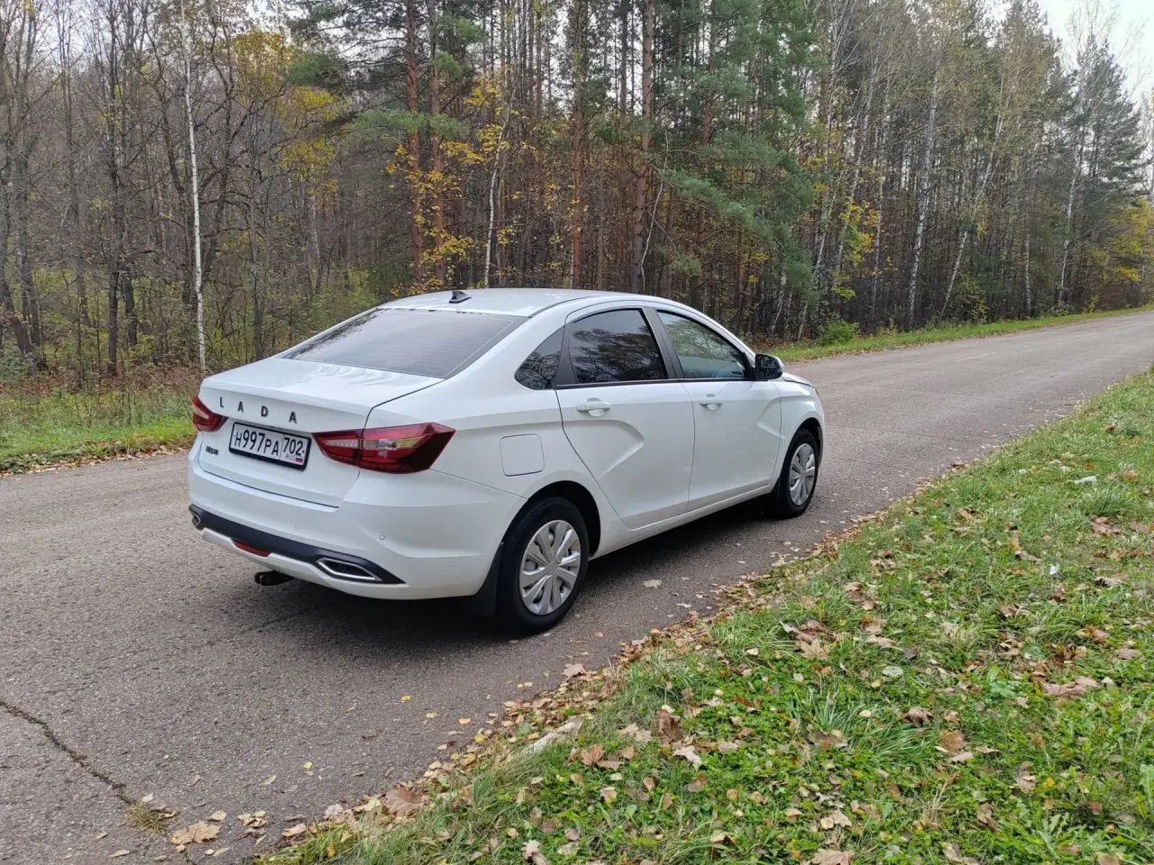 IMG 1387 1